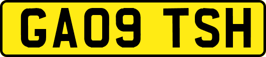 GA09TSH