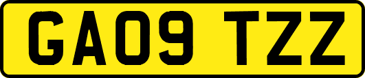 GA09TZZ