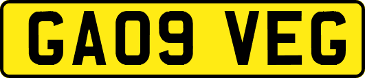 GA09VEG