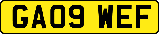 GA09WEF