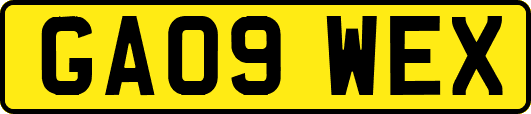 GA09WEX
