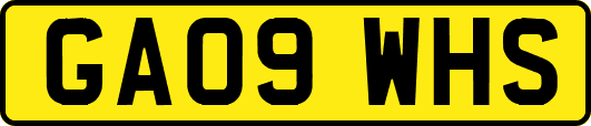 GA09WHS