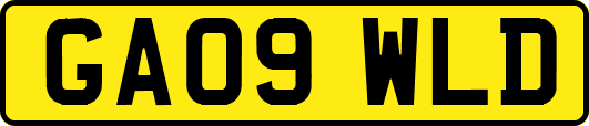 GA09WLD