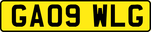 GA09WLG