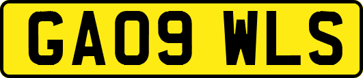 GA09WLS