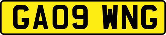 GA09WNG