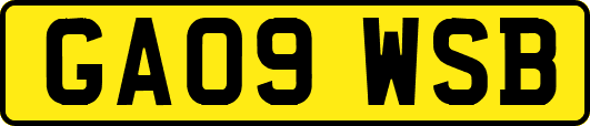 GA09WSB