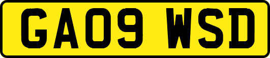 GA09WSD