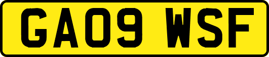 GA09WSF