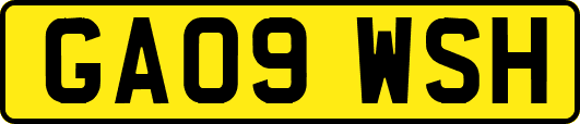 GA09WSH
