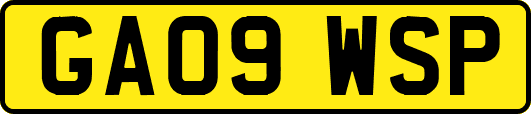 GA09WSP