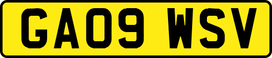 GA09WSV
