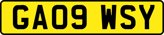 GA09WSY