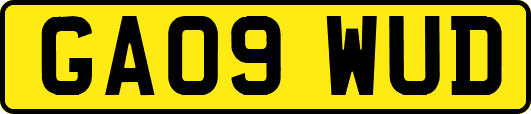 GA09WUD