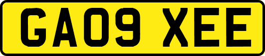 GA09XEE