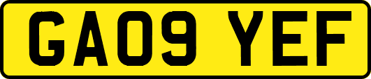 GA09YEF