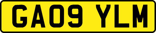 GA09YLM