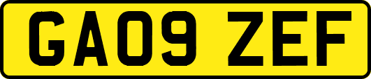 GA09ZEF