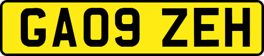 GA09ZEH