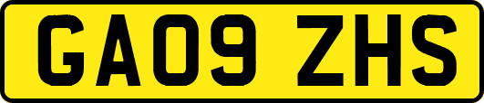 GA09ZHS