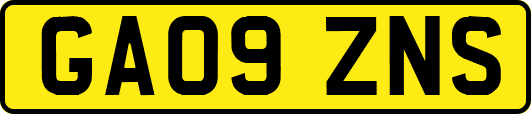 GA09ZNS