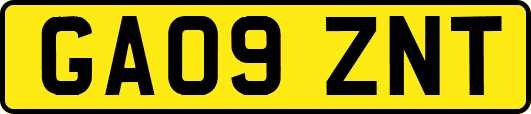 GA09ZNT