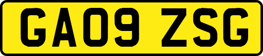 GA09ZSG
