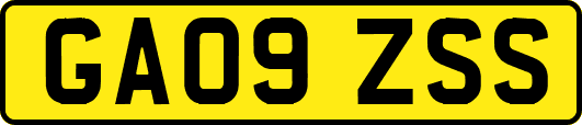 GA09ZSS