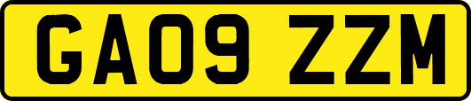 GA09ZZM