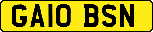 GA10BSN