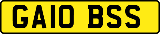 GA10BSS