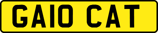 GA10CAT
