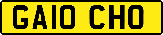 GA10CHO