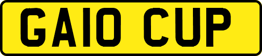 GA10CUP