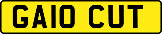 GA10CUT