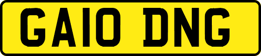 GA10DNG