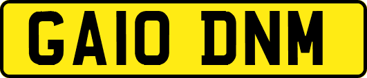 GA10DNM