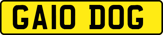 GA10DOG