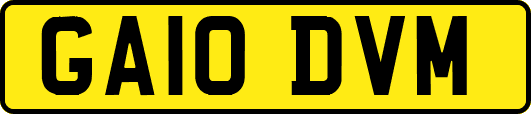 GA10DVM