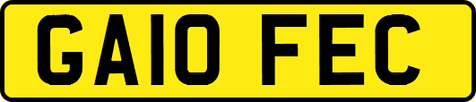 GA10FEC