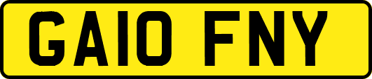GA10FNY