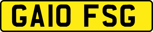 GA10FSG