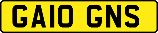GA10GNS