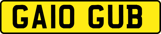 GA10GUB