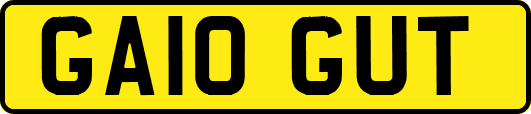GA10GUT