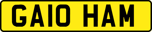 GA10HAM