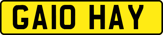 GA10HAY
