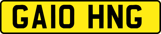 GA10HNG