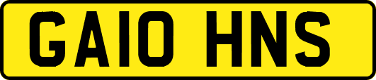 GA10HNS