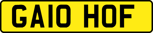 GA10HOF